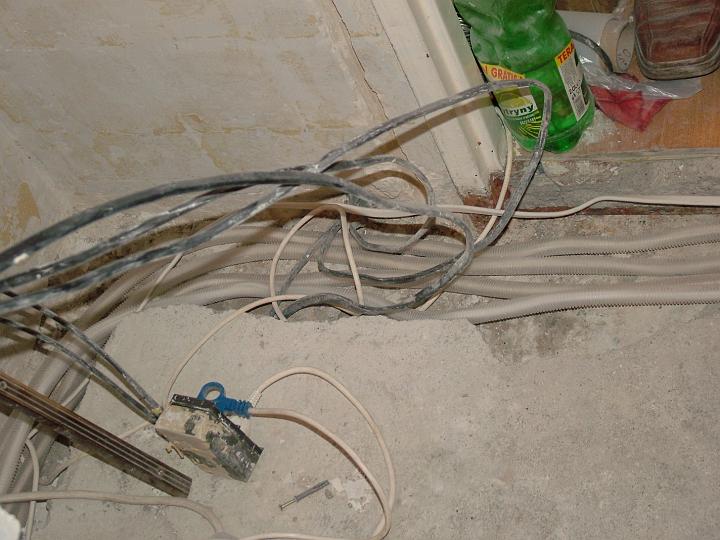 Obraz 095.jpg